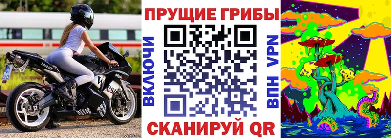 Галлюциногенные грибы Cubensis  Всеволожск 