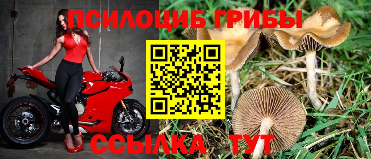 Галлюциногенные грибы GOLDEN TEACHER  купить закладку  Всеволожск  Вход с VPN 
