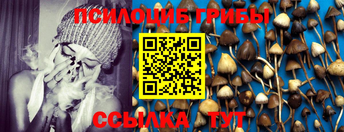 Псилоцибиновые грибы Cubensis  Псилоцибиновые грибы мухоморы  Всеволожск 